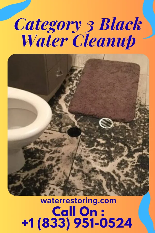Category 3 Black Water Cleanup in Port Arthur, TX