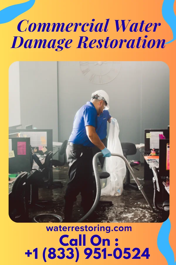 Commercial Water Damage Restoration in Port Arthur, TX